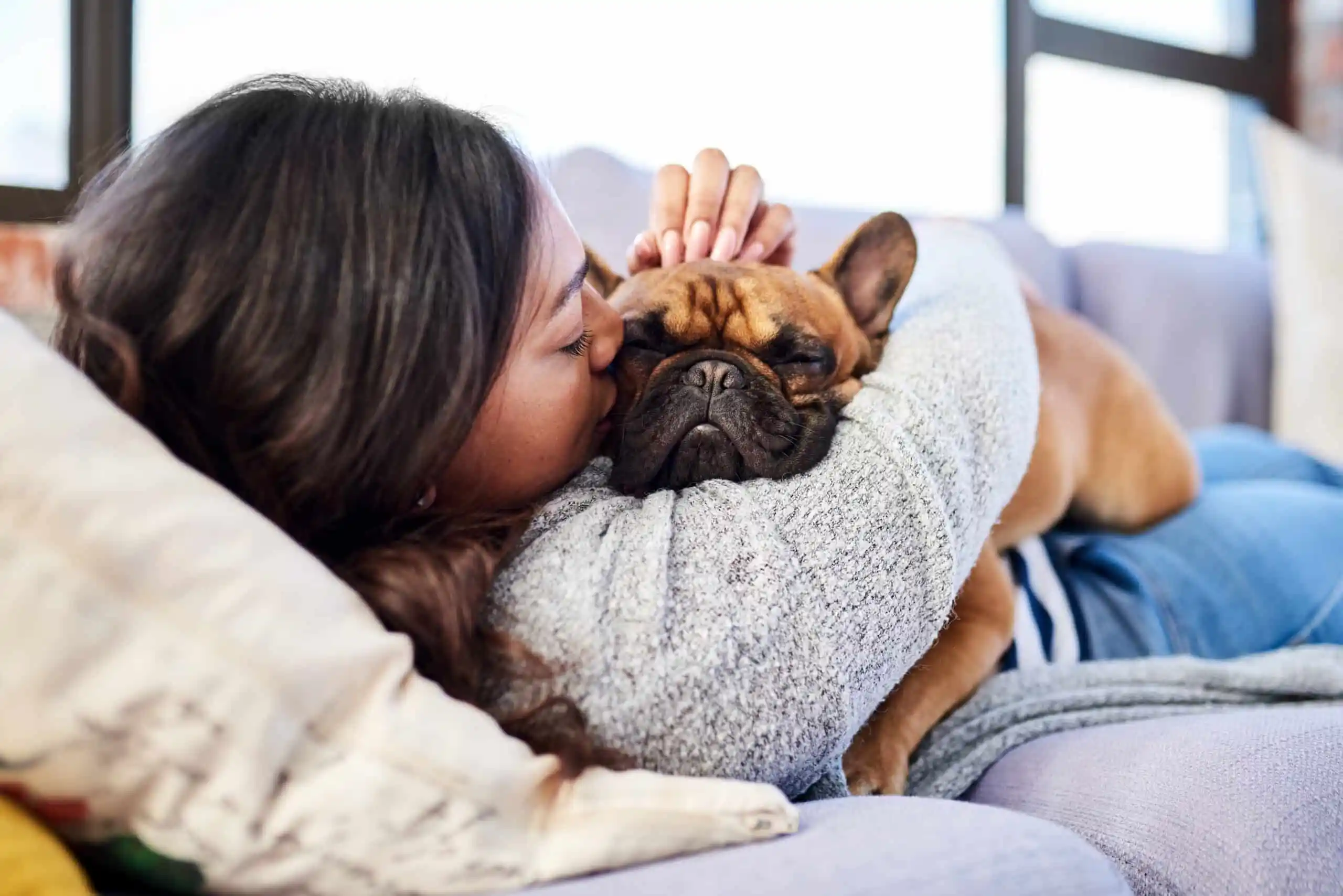Learning about pet memorialization options